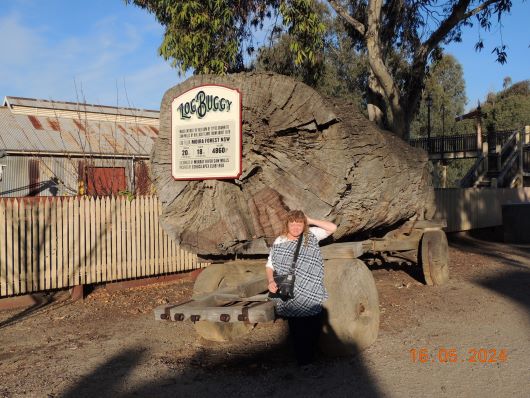 Echuca big Log